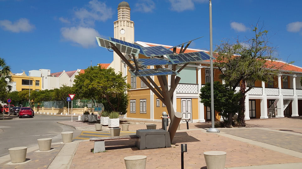 aruba-kennenlernen-solarbaum