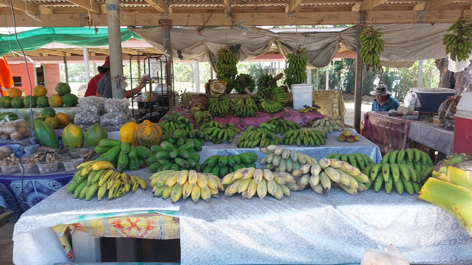 koenigreich-tonga-marktstand-bananen