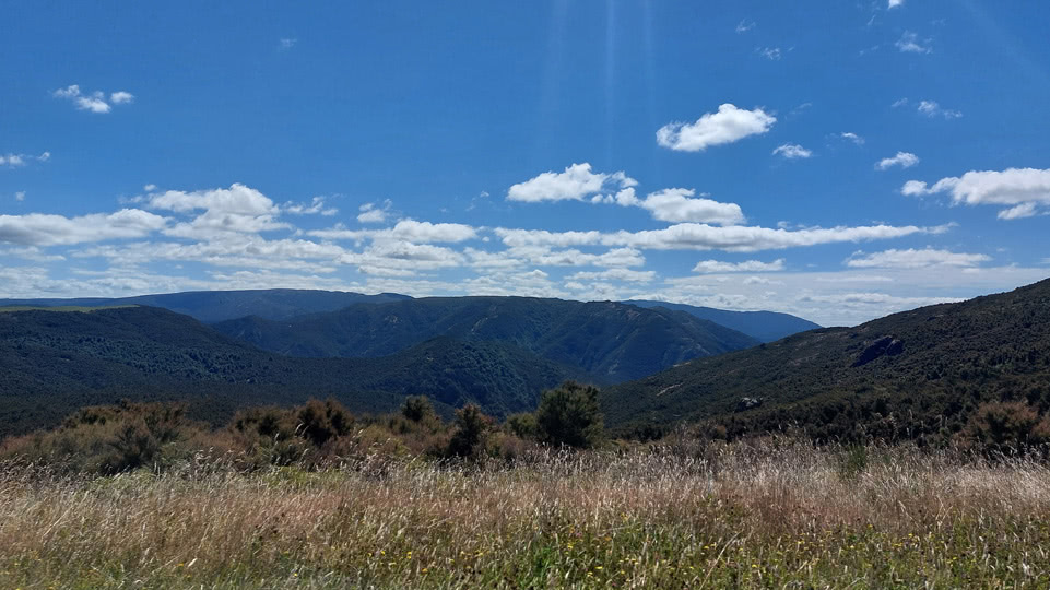 neuseeland-bis-taupo-huegeliger-weg-nach-napier