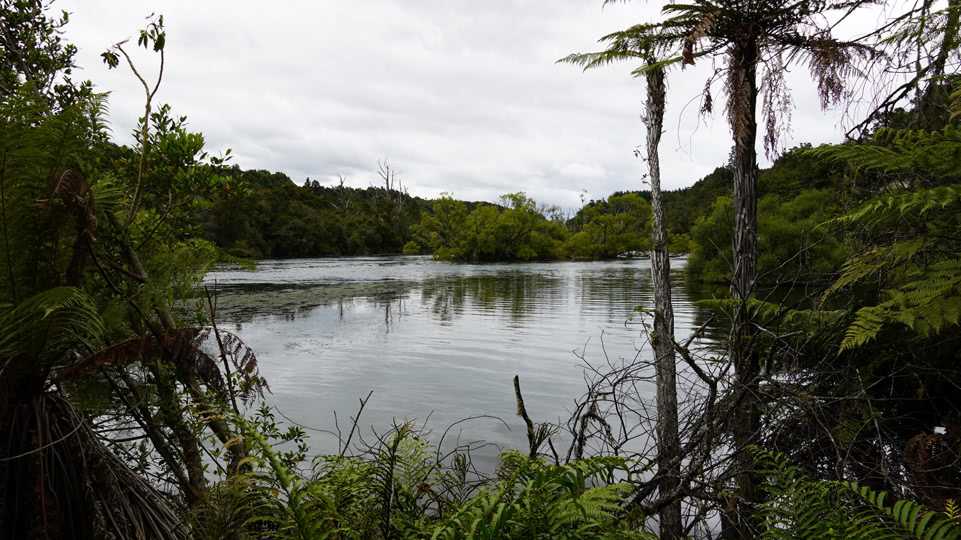 neuseeland-bis-taupo-waikato-river