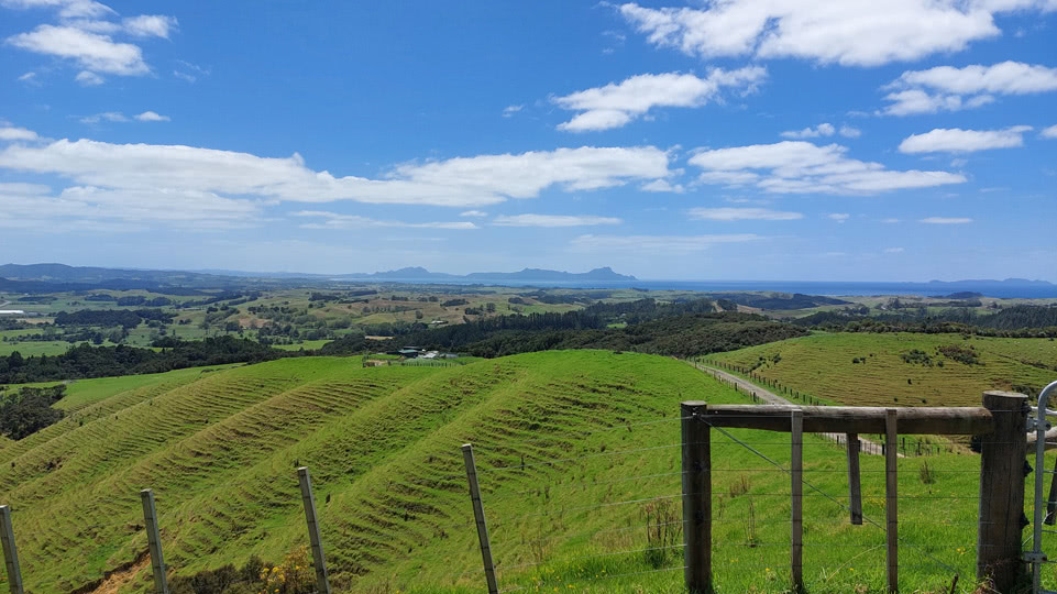 neuseeland-bis-turangi-brynderwyns-scenic-lookout