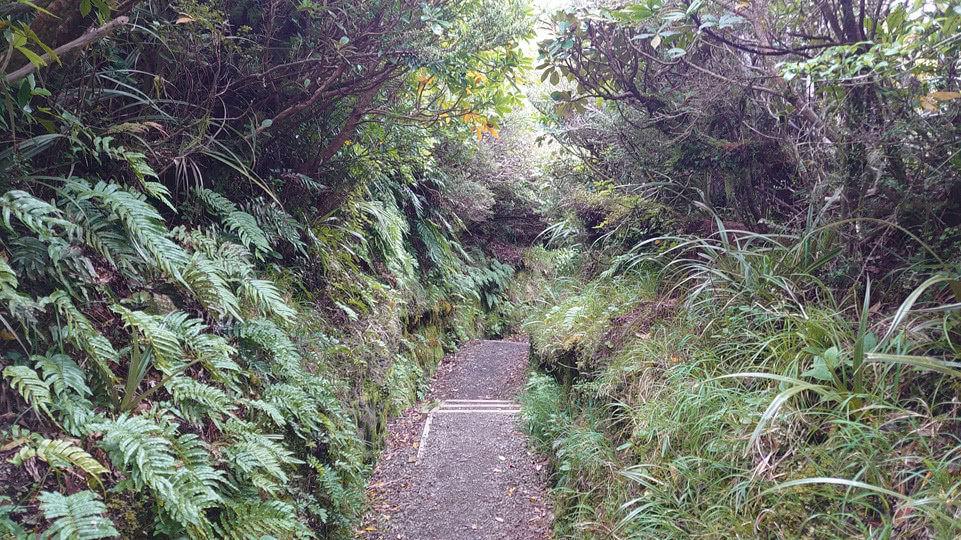 neuseeland-bis-turangi-enchanted-track