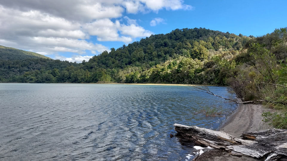 neuseeland-bis-turangi-lake-rotopounamu