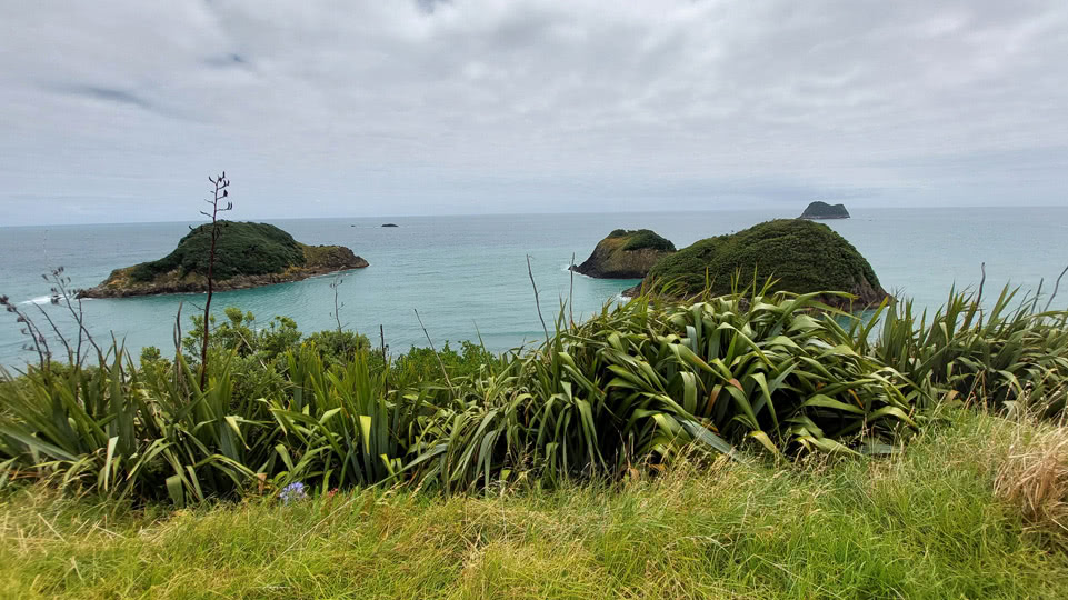 neuseeland-bis-turangi-tapuae-marine-reserve