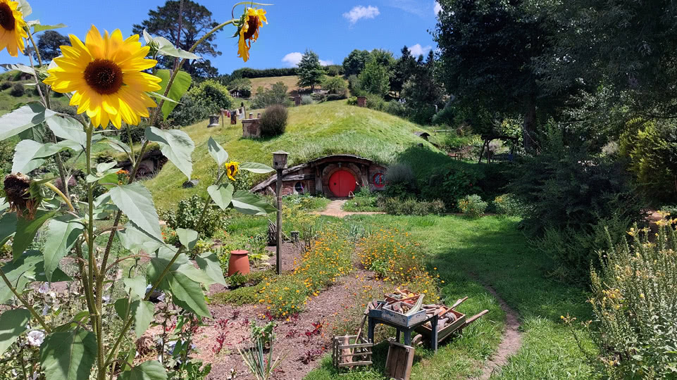 neuseeland-hobbiton-filmset-blick-ins-dorf-mit-sonnenblumen