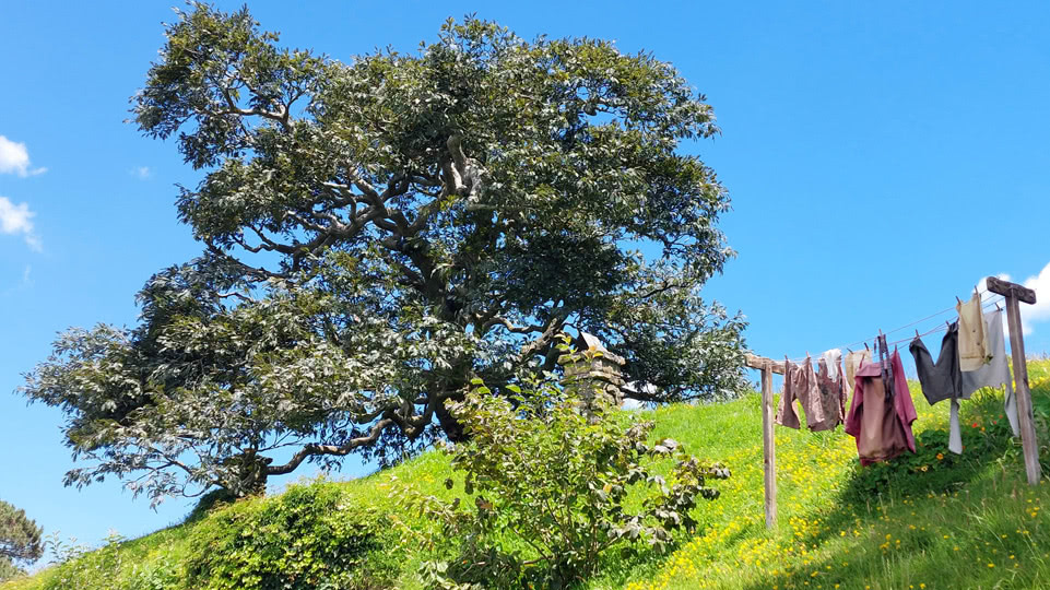 neuseeland-hobbiton-filmset-falscher-baum-und-waesche