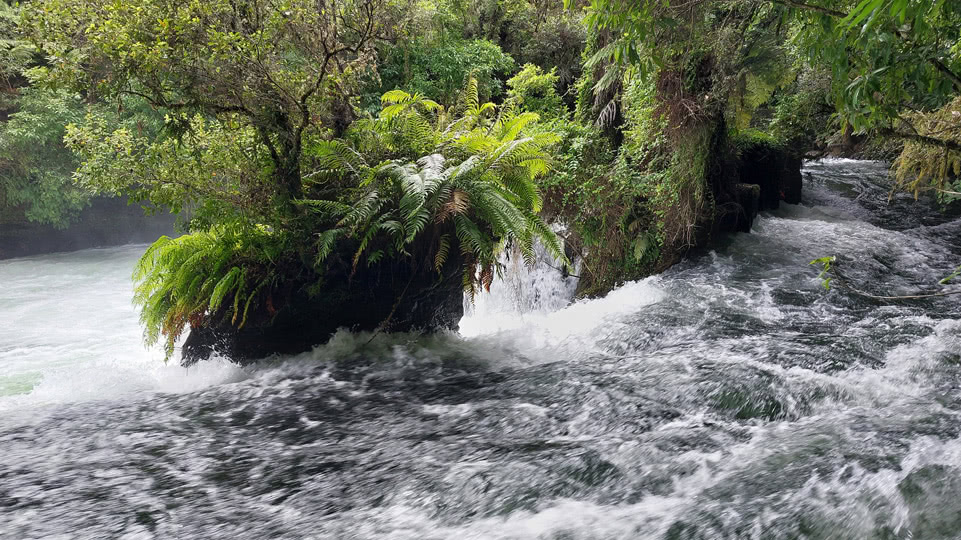 neuseeland-rotorua-okere-river-okere-falls