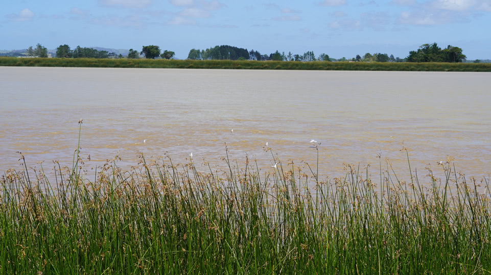 neuseeland-westkueste-dargaville-wairo-river