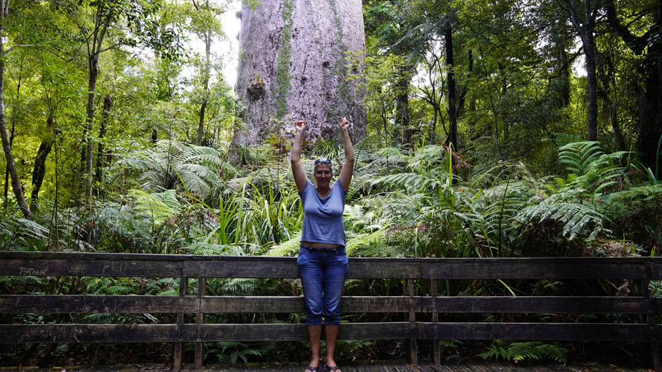 neuseeland-westkueste-nelly-und-tane-mahuta