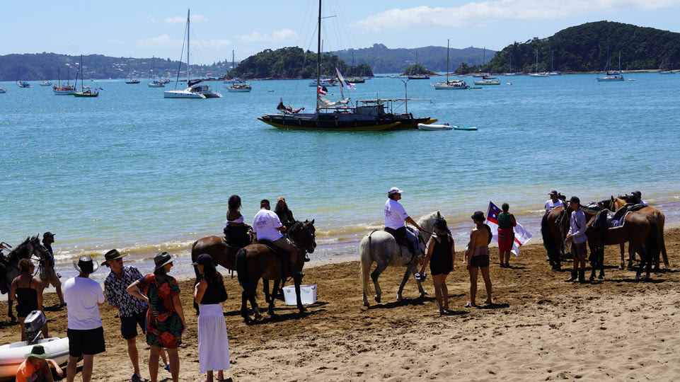 neuseeland-westkueste-waitangi-day-pferde-am-strand