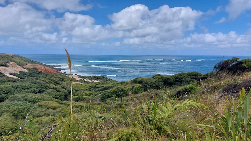 neuseeland-westkueste-wilde-flache-westkueste