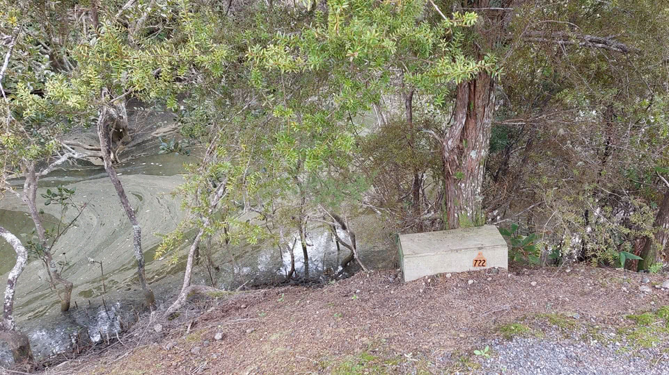 neuseeland-wetterfenster-bahndamm-possum-fallen