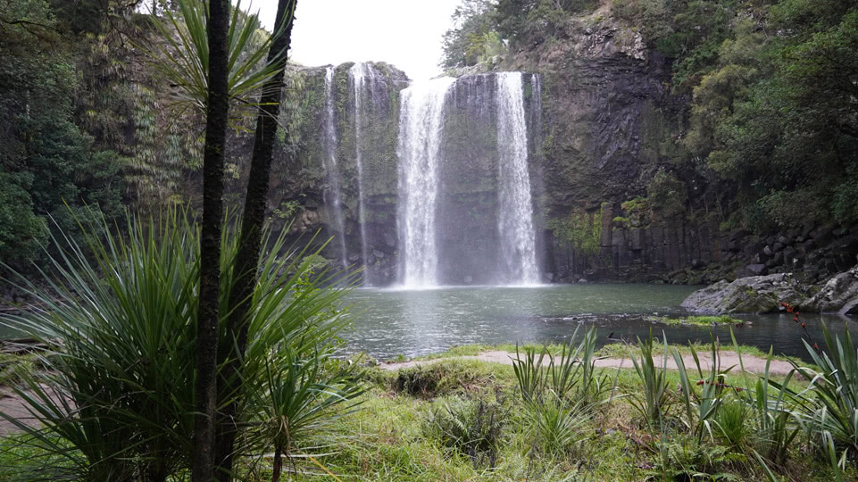 neuseeland-wetterfenster-whangarei-falls-unten