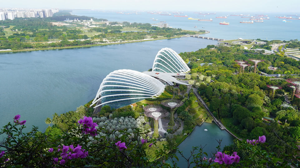 singapur-flower-dome-und-cloud-forest