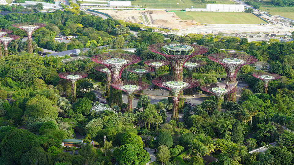 singapur-supertree-grove