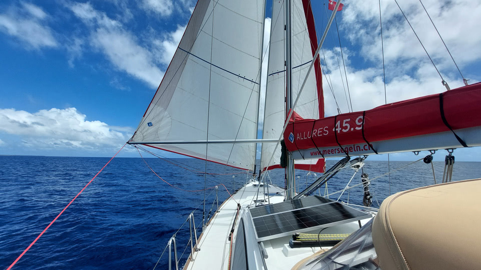 tonga-buckelwale-downwind-segeln