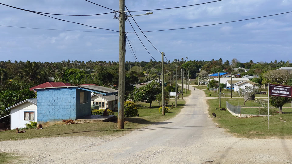 tonga-buckelwale-faleloa-hauptstrasse