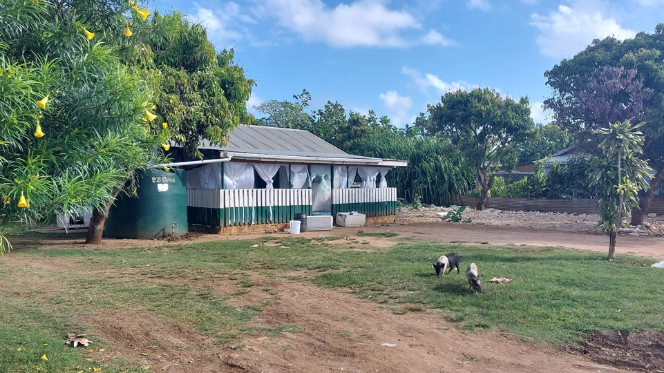 tonga-buckelwale-haus-in-faleloa