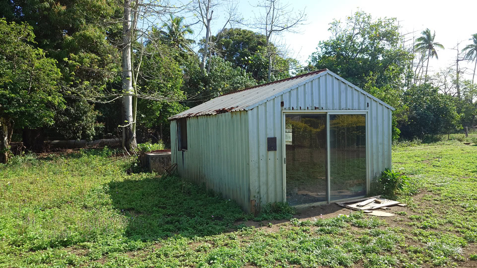 tonga-buckelwale-lofanga-klinik