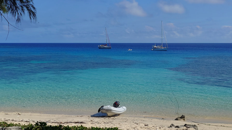 tonga-buckelwale-lofangfa-meerli-am-strand