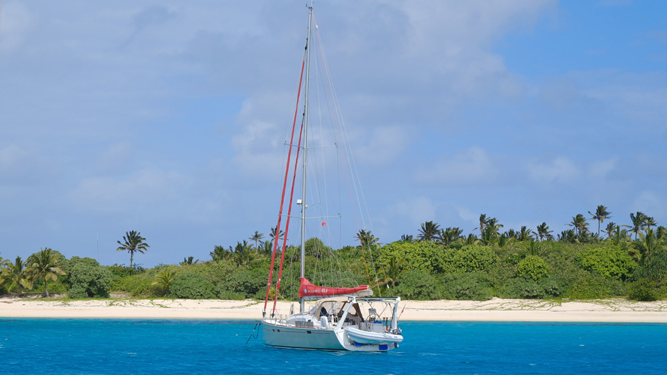 tonga-buckelwale-meerla-sandy-beach