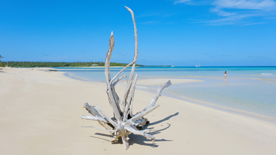 tonga-buckelwale-nukunamo-strand