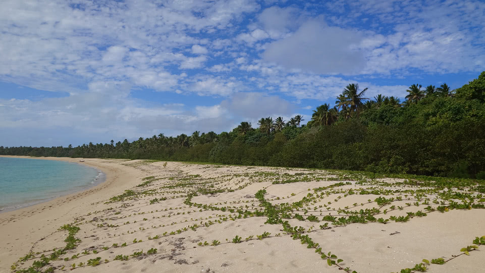 tonga-haapai-uoleva-strand