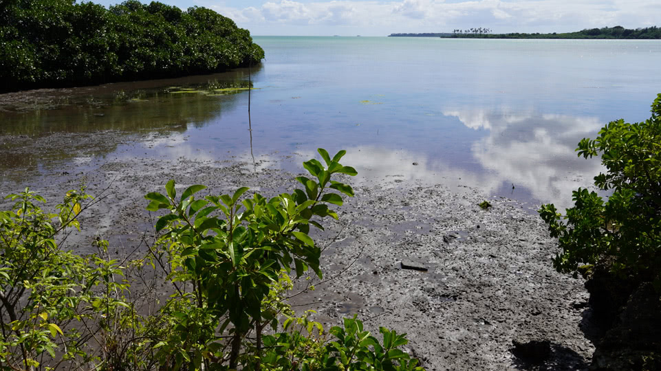 tonga-tongatapu-captain-cook-landing-site