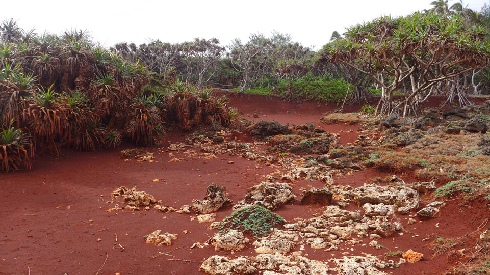 vavau-erkunden-kenutu-rote-erde