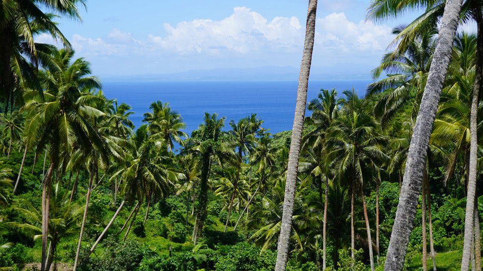fiji-savusavu-zyklonsaison-wanderung-savusavu-bay
