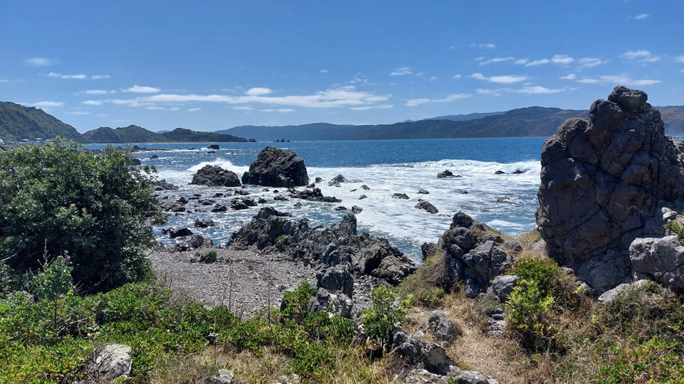 neuseeland-suedinsel-teil-1-tag-03-breaker-bay