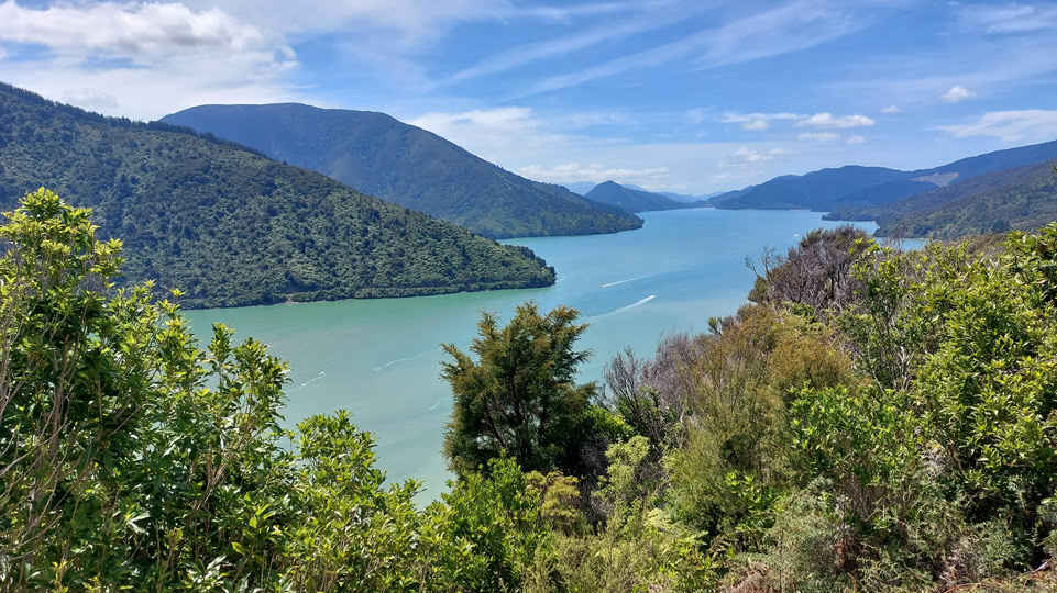 neuseeland-suedinsel-teil-1-tag-04-aussicht-vom-cullen-point