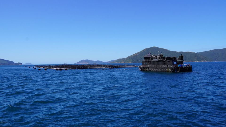 neuseeland-suedinsel-teil-1-tag-05-pelorus-automatische-fischzucht