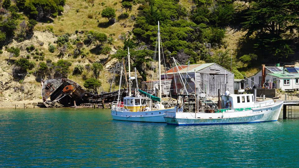neuseeland-suedinsel-teil-1-tag-05-pelorus-letzter-bootsbauer
