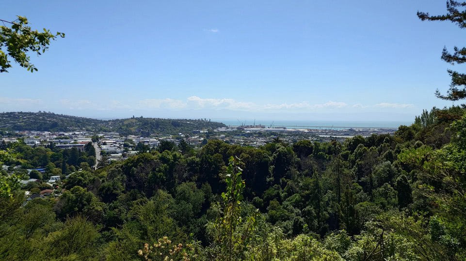 neuseeland-suedinsel-teil-1-tag-06-blikc-auf-nelson