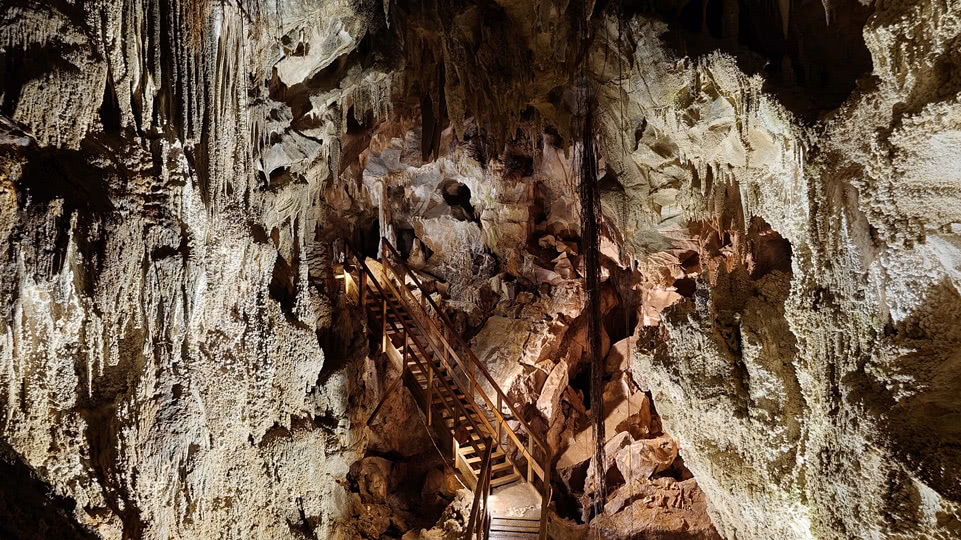 neuseeland-suedinsel-teil-1-tag-07-ngarua-cave