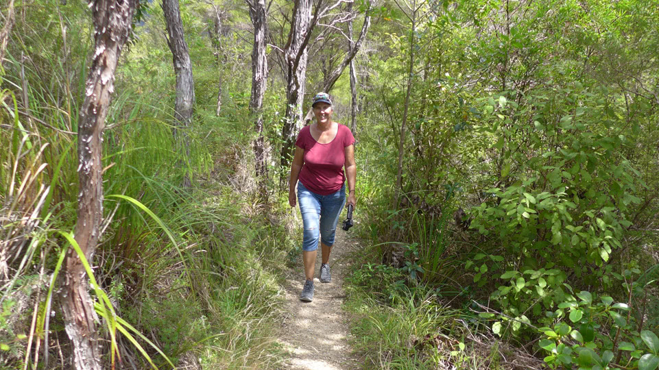neuseeland-suedinsel-teil-1-tag-08-pupu-hydro-nelly-wandern