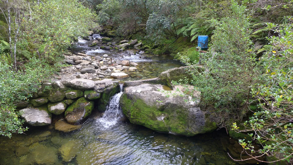 neuseeland-suedinsel-teil-1-tag-08-pupu-hydro-wasserfassung