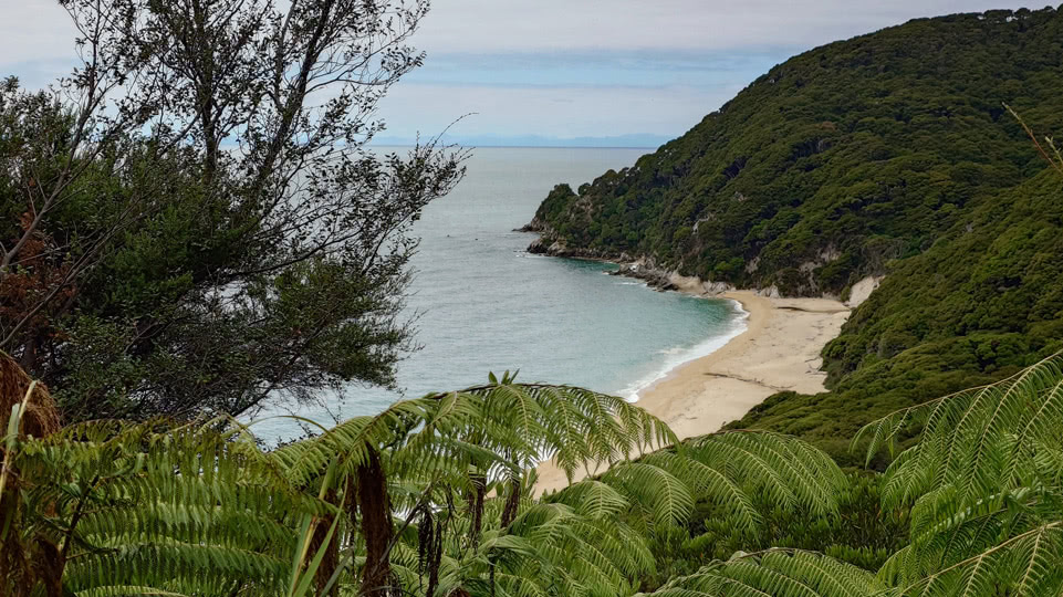 neuseeland-suedinsel-teil-1-tag-10-blick-auf-anapai-bay