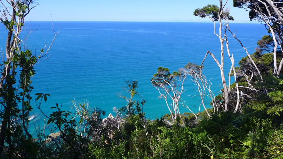 neuseeland-suedinsel-teil-1-tag-10-blick-auf-tasman-bay