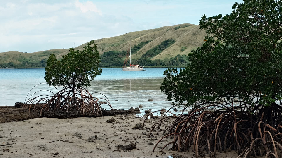 fiji-rainbow-reef-meerla-wartet
