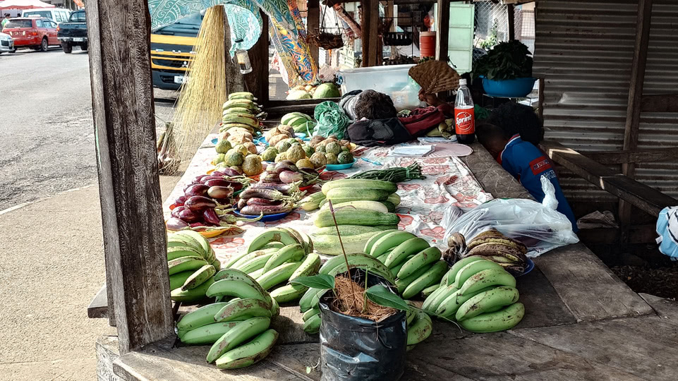fiji-rainbow-reef-somosomo-markt