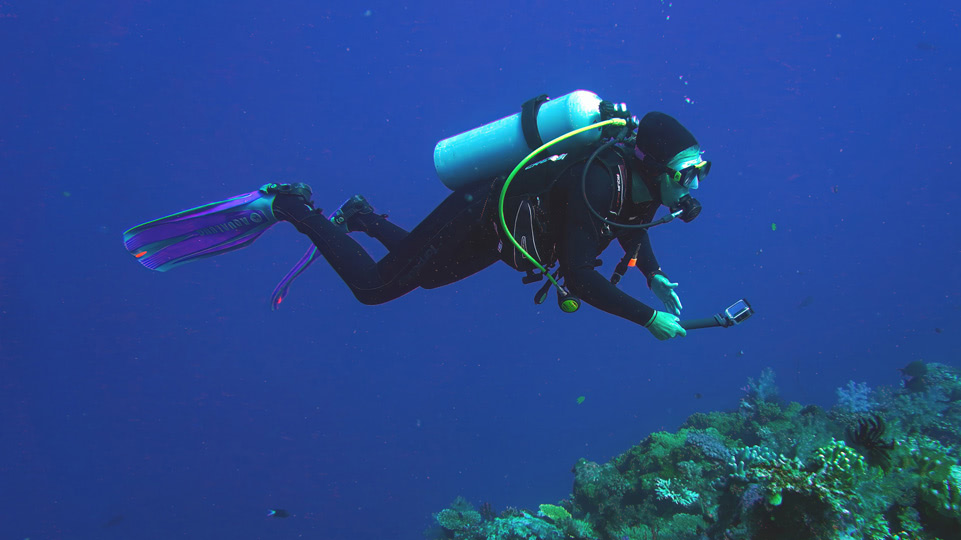 fiji-rainbow-reef-tauchen-nelly