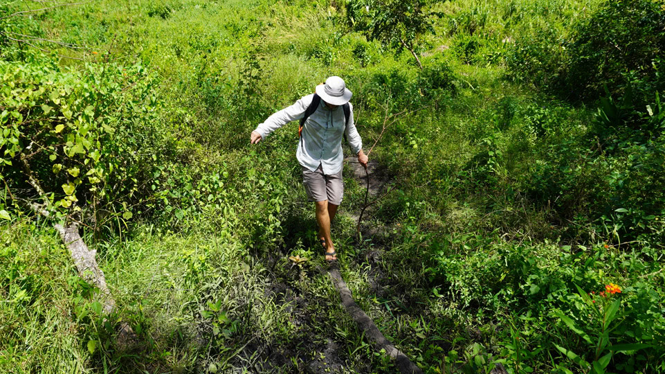 fiji-rainbow-reef-wanderung-hindernisse
