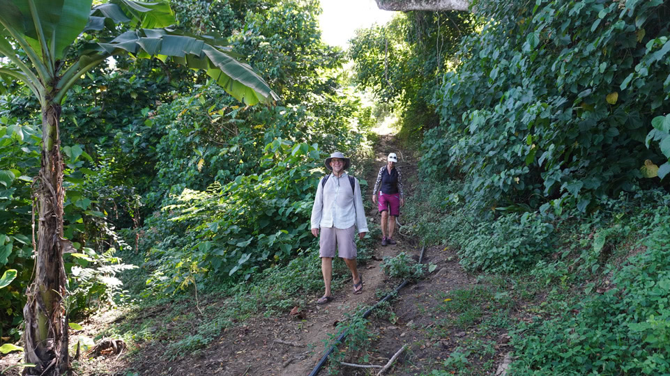 fiji-rainbow-reef-wanderung-pfade