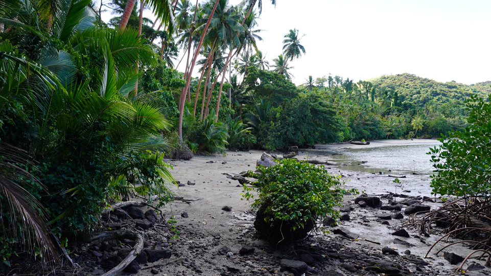 fiji-rainbow-reef-wanderung-strand