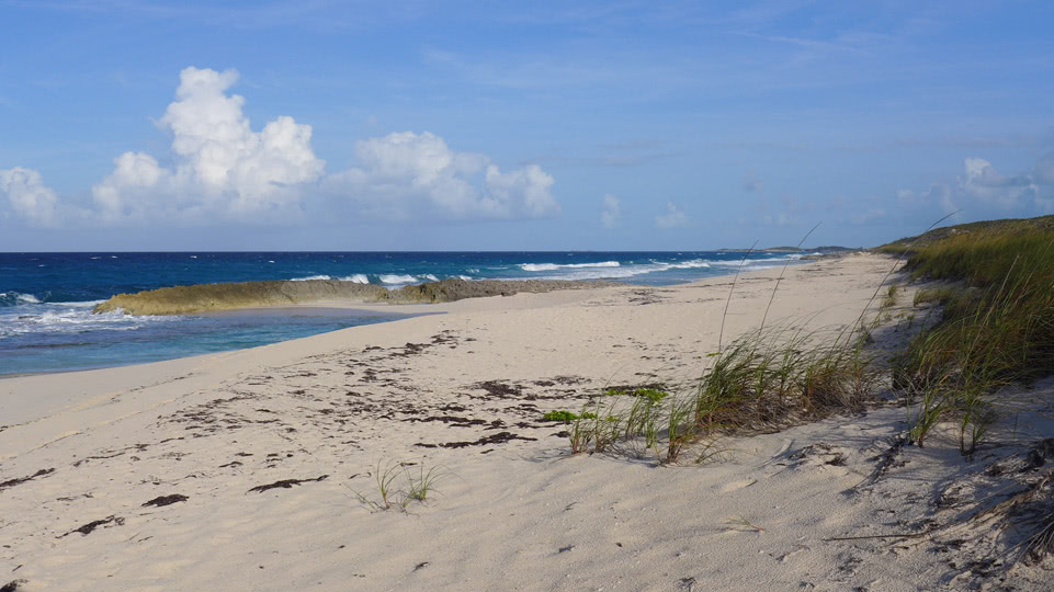 bahamas-exumas-stocking-island-powder-beach