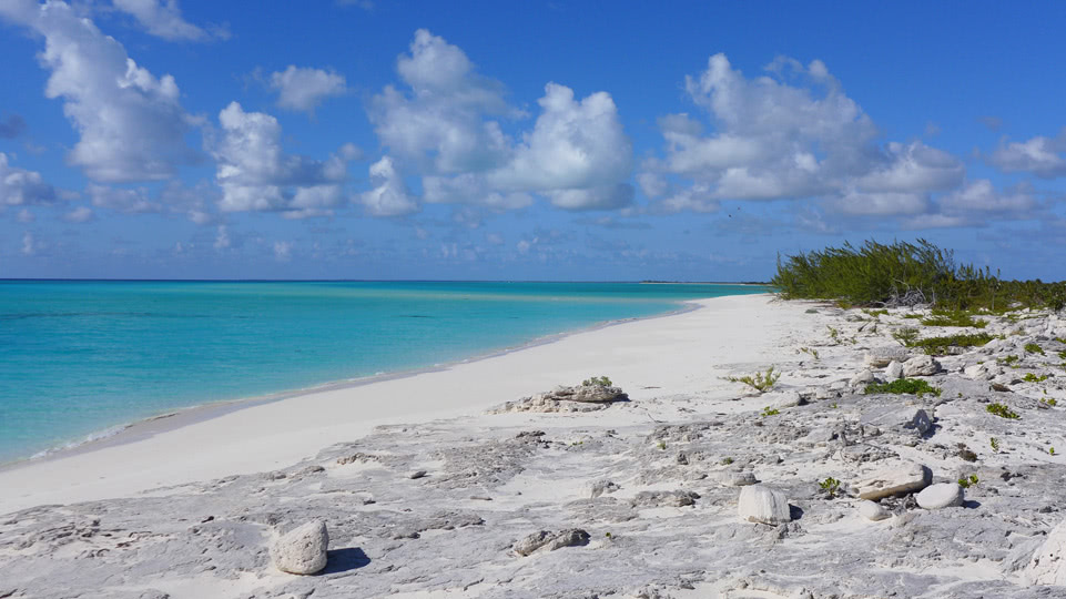 bahamas-long-cay-beach