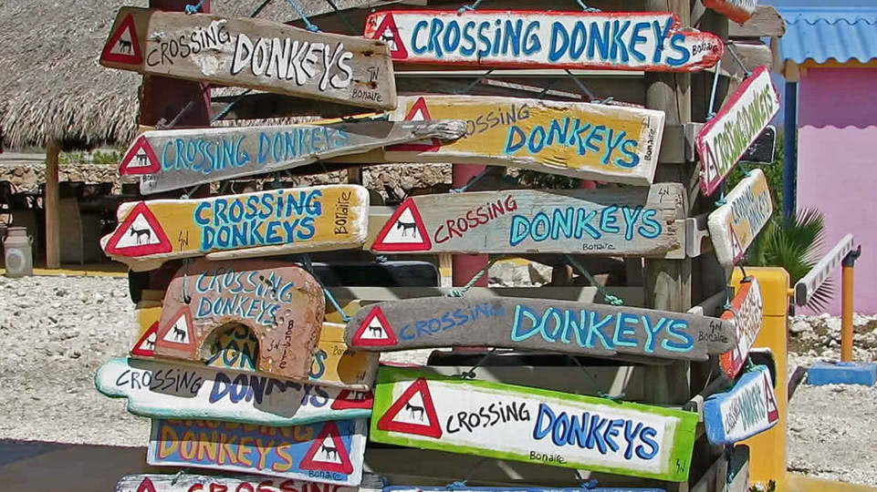 bonaire-donkey-sanctuary-wegweiser